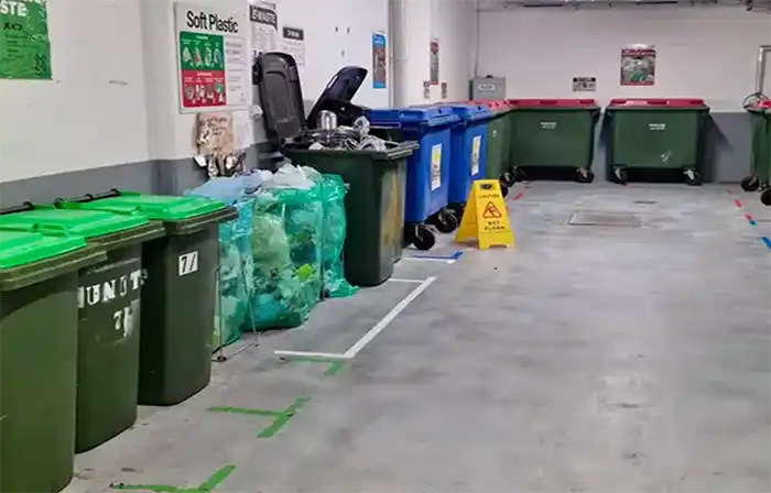 rat problem rubbish bins