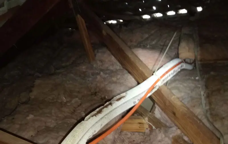 rodent electrical damage