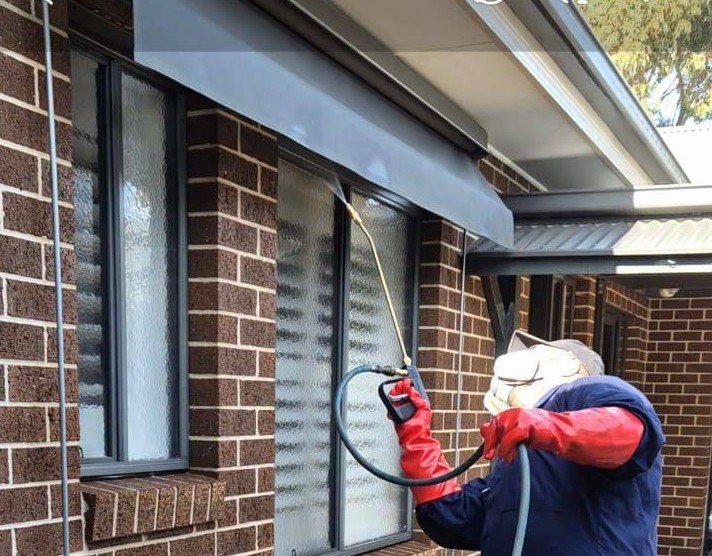 swiftpestsolutions spiders